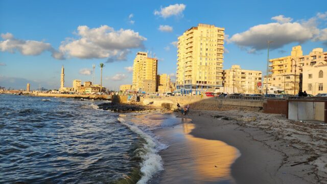 Google Photo 4