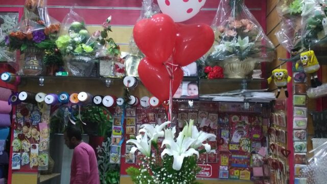 Google Photo 3