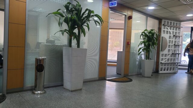Google Photo 4