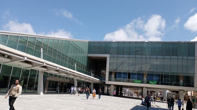 Google Photo 5