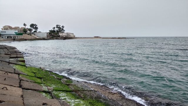 Google Photo 4