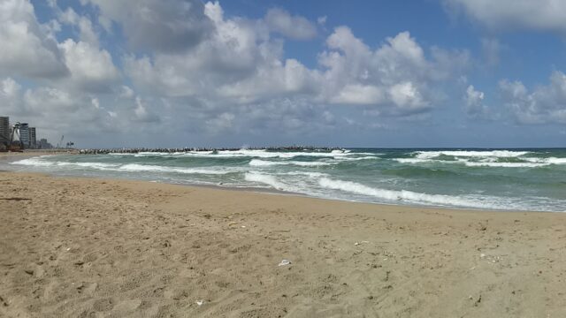 Google Photo 5