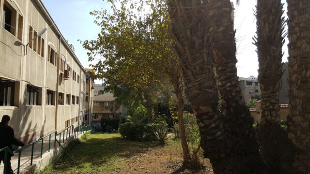 Google Photo 5