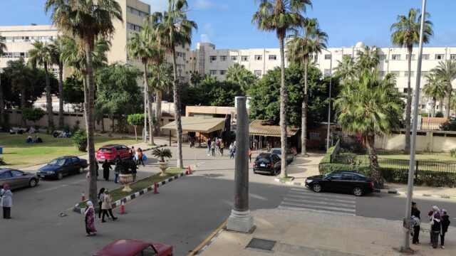 Google Photo 5