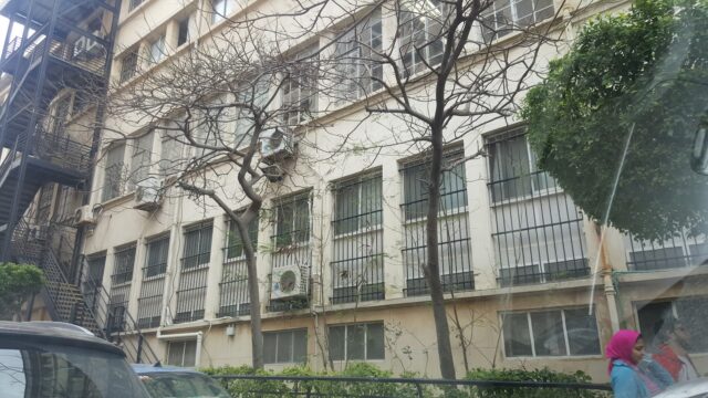 Google Photo 4