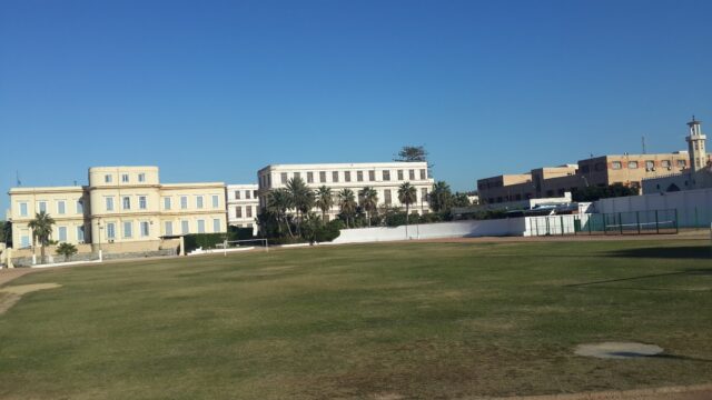 Google Photo 2