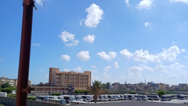Google Photo 5