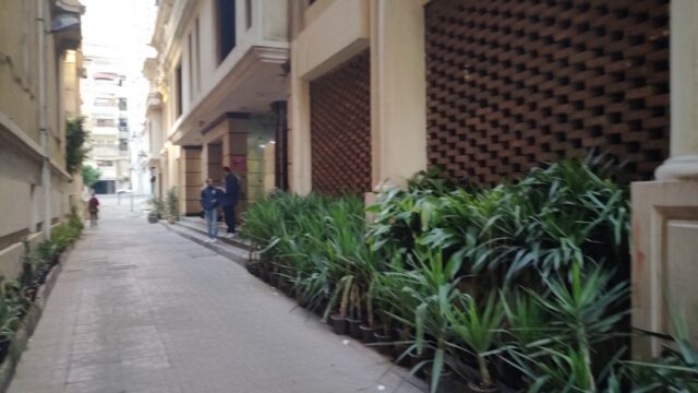Google Photo 5