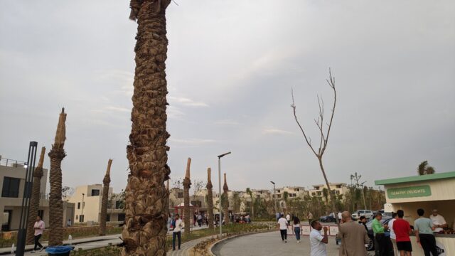 Google Photo 4