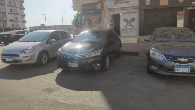Google Photo 2