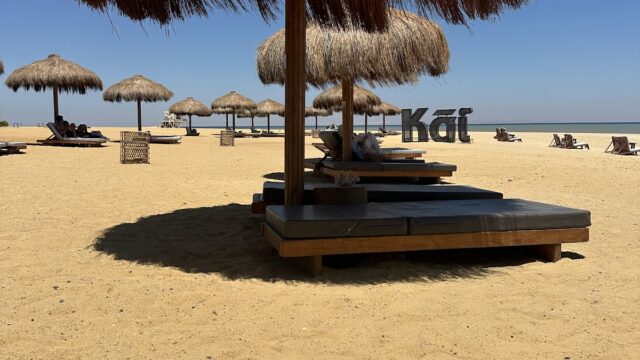 Google Photo 5