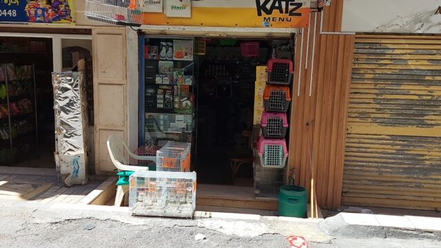 Google Photo 1