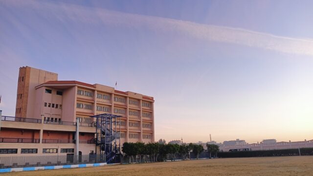 Google Photo 2