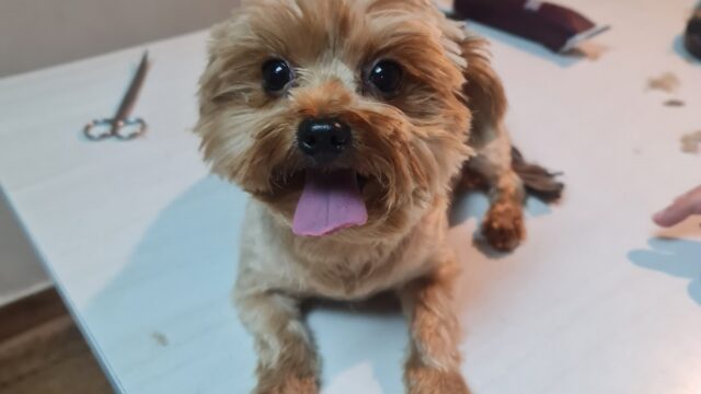Google Photo 4