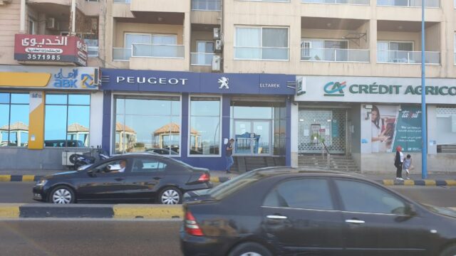 Google Photo 4