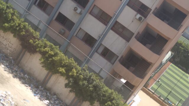 Google Photo 5
