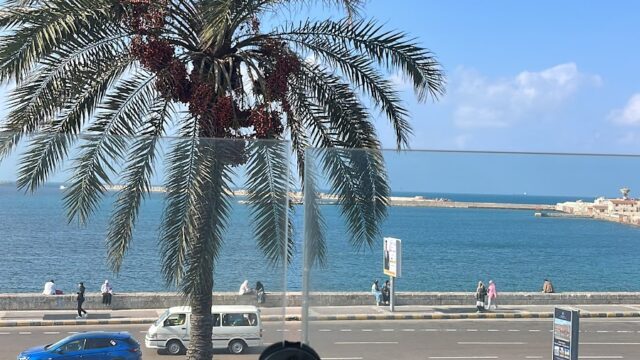 Google Photo 4