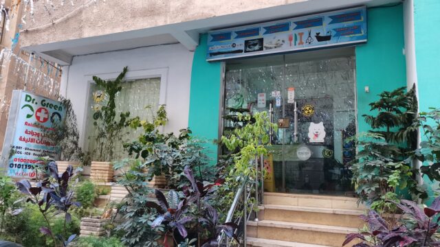 Google Photo 2