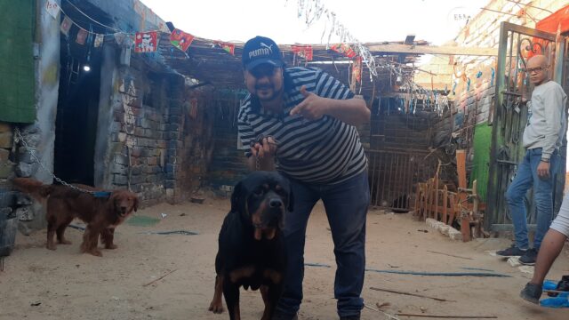 Google Photo 3