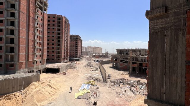 Google Photo 5