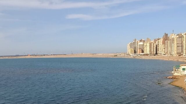 Google Photo 4