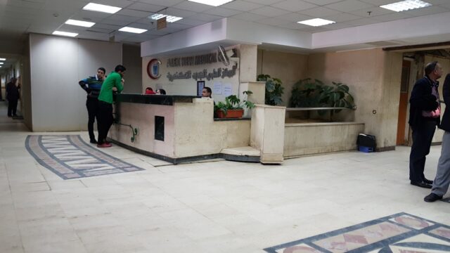 Google Photo 3