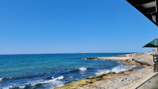Google Photo 4