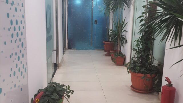 Google Photo 3