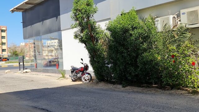 Google Photo 4