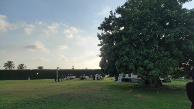 Google Photo 1