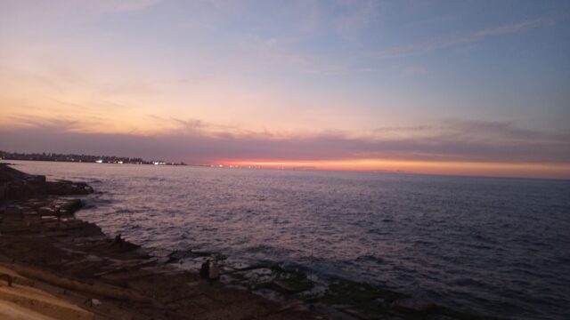 Google Photo 3