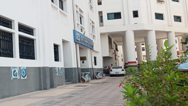Google Photo 5