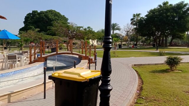 Google Photo 4