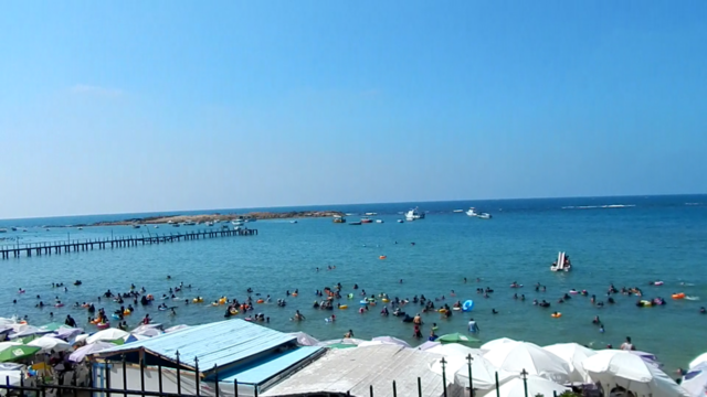 Google Photo 3