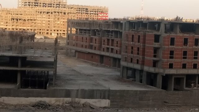 Google Photo 5