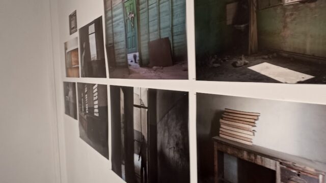 Google Photo 4