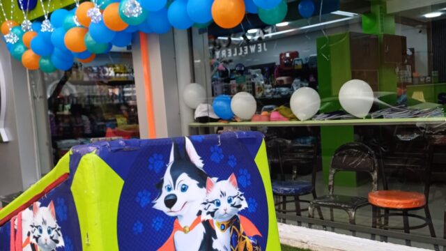 Google Photo 2