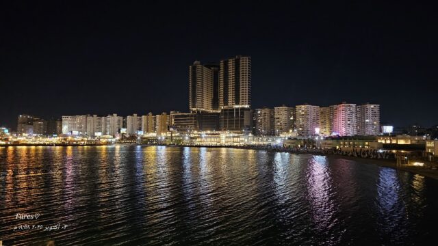 Google Photo 4