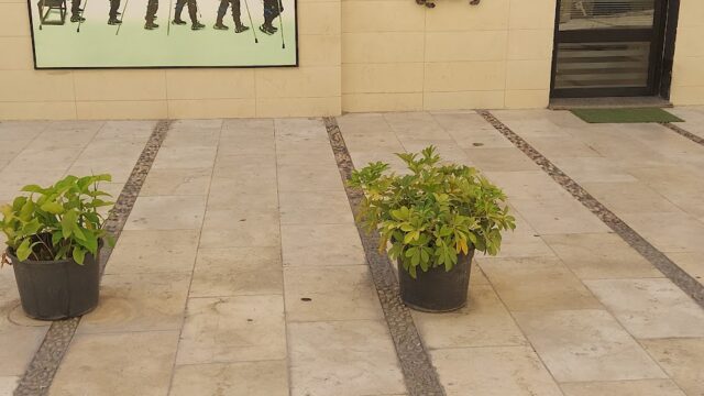 Google Photo 3