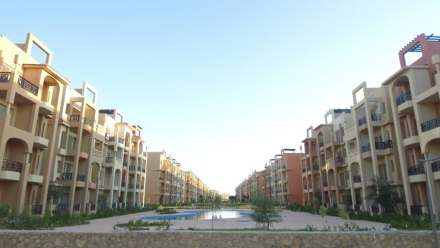 Google Photo 3