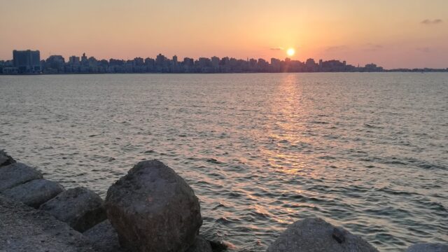 Google Photo 3