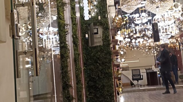 Google Photo 1