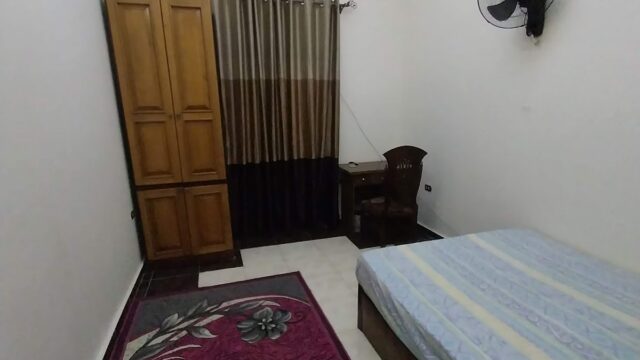 Google Photo 2