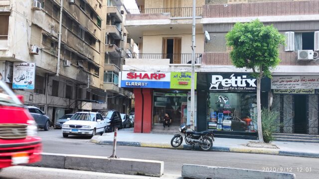 Google Photo 4