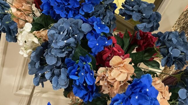 Google Photo 5