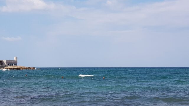 Google Photo 5