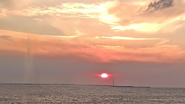 Google Photo 3