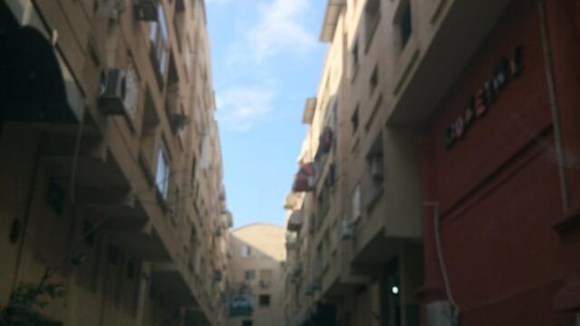 Google Photo 4