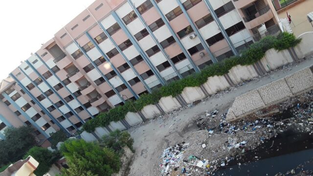 Google Photo 3