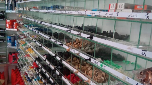 Google Photo 2